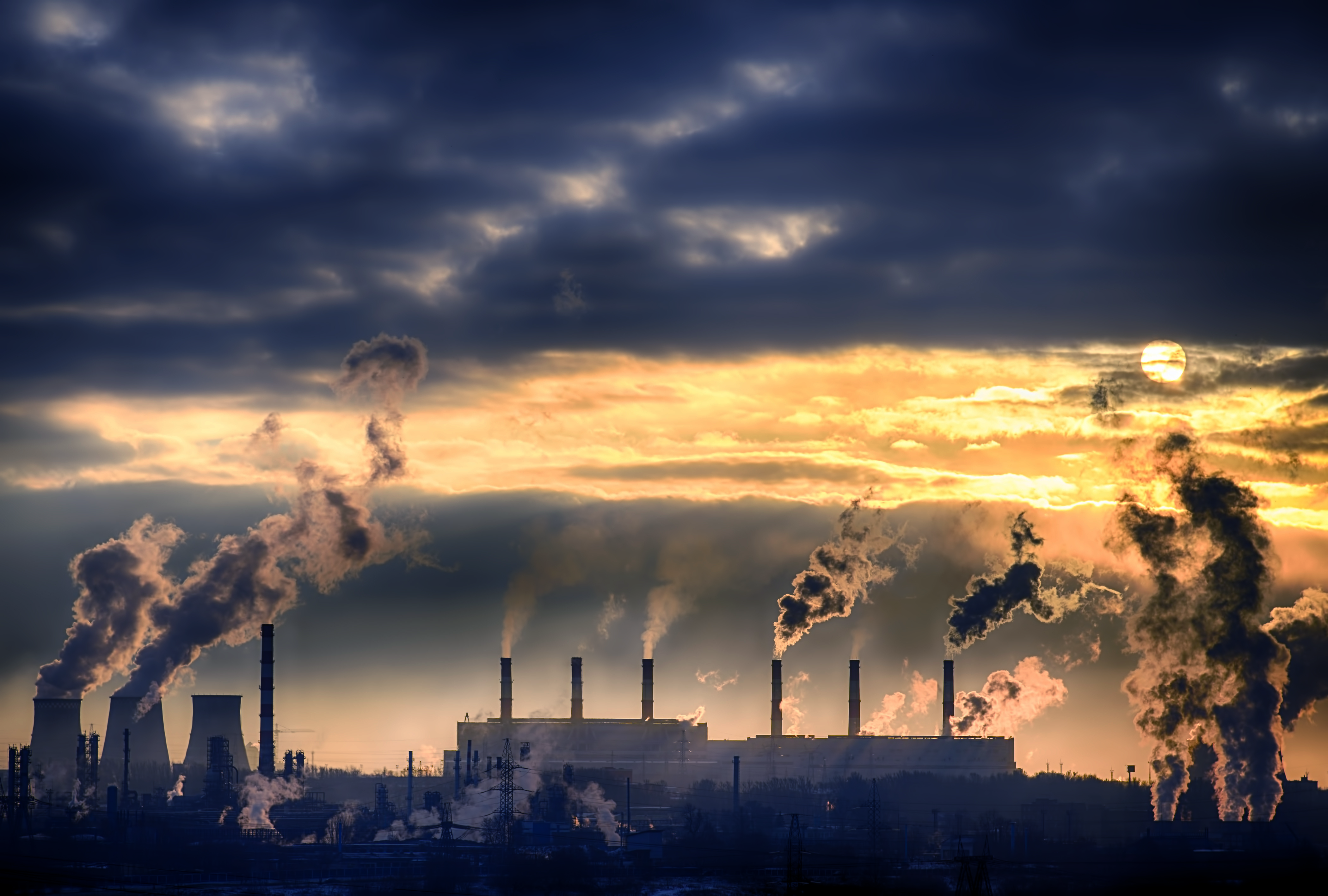 accueil-illustration